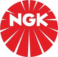   NGK 4179 DCPR8E 4179 (=4339)
